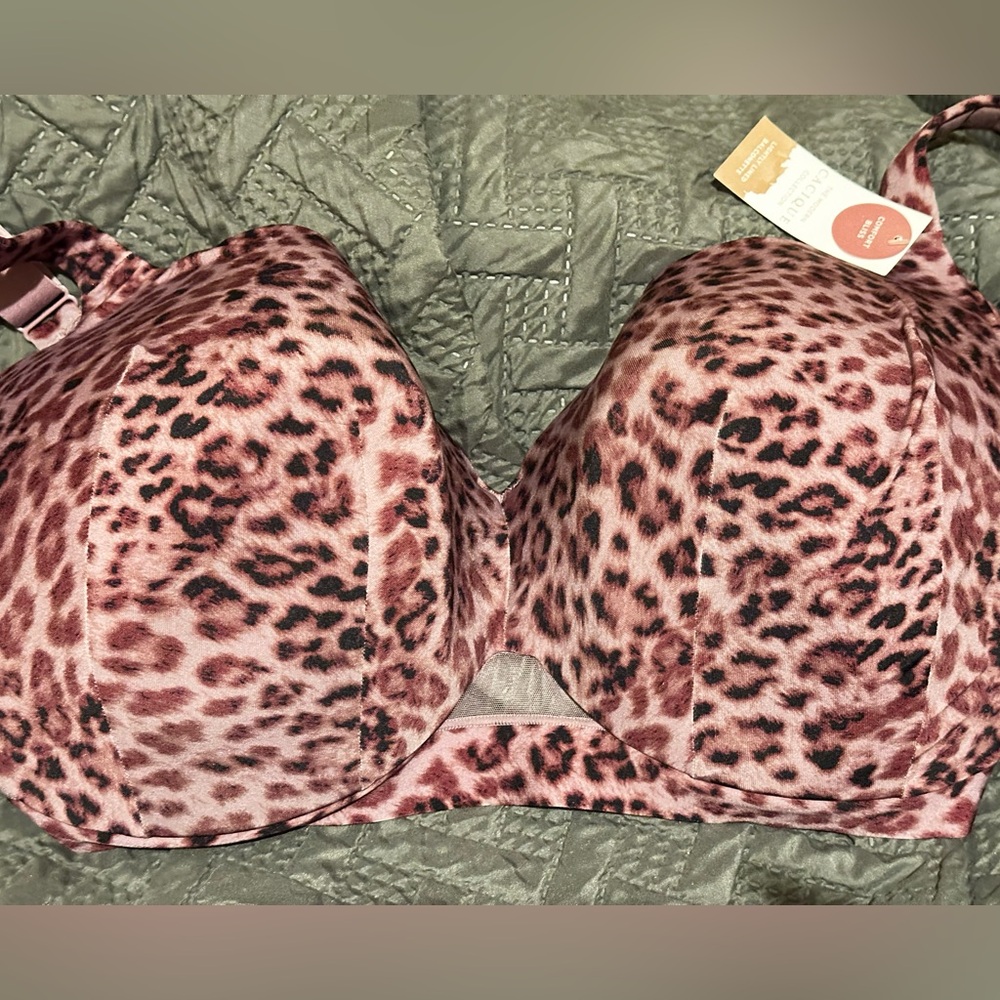 Lane Bryant Leopard Print Bra. Purple & Black